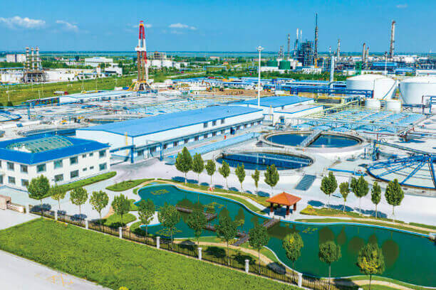 Lihuayi Group Co., Ltd