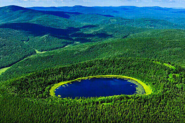 Lihuayi Group Co., Ltd