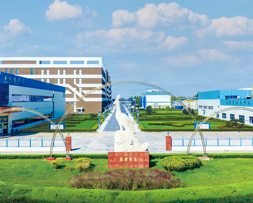 Shandong Fenghuang Pharmaceutical Co., Ltd.
