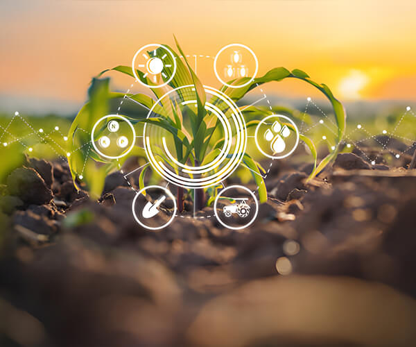 Environmental Protection